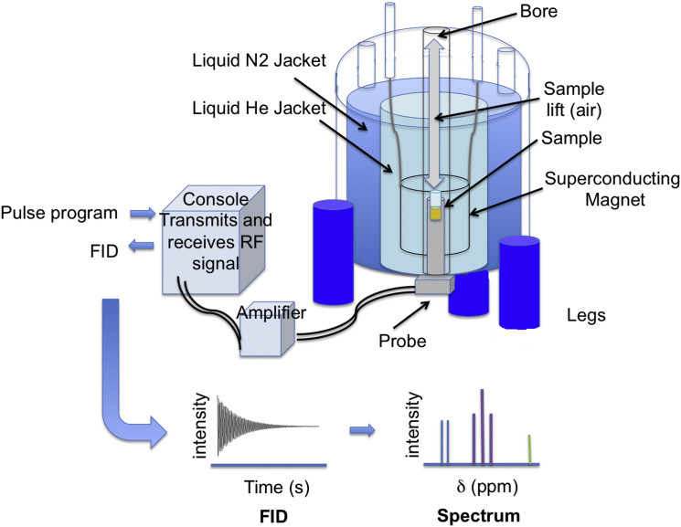 Fig.1 The theoretical basis of proton 1H NMR. (OA Literature)
