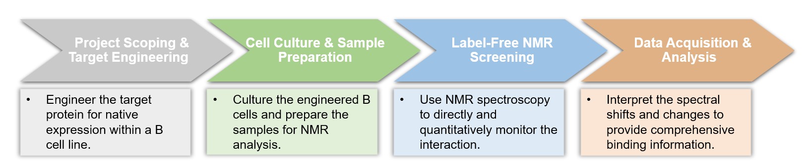 Core steps of B cell-based nuclear magnetic resonance spectroscopy assay process. (Creative Biolabs Original)