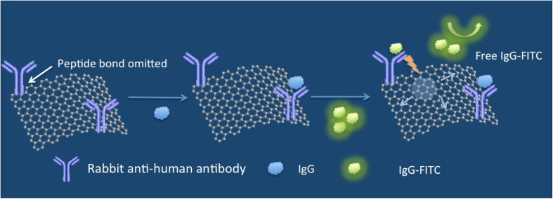 Fig.1 The principle of graphene oxide-based fluorescence quenching. (OA Literature)