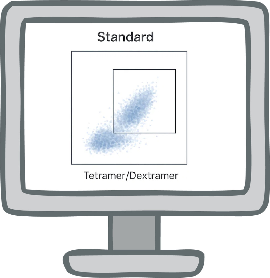 B Cell-based flow cytometry assay. (Creative Biolabs Original)