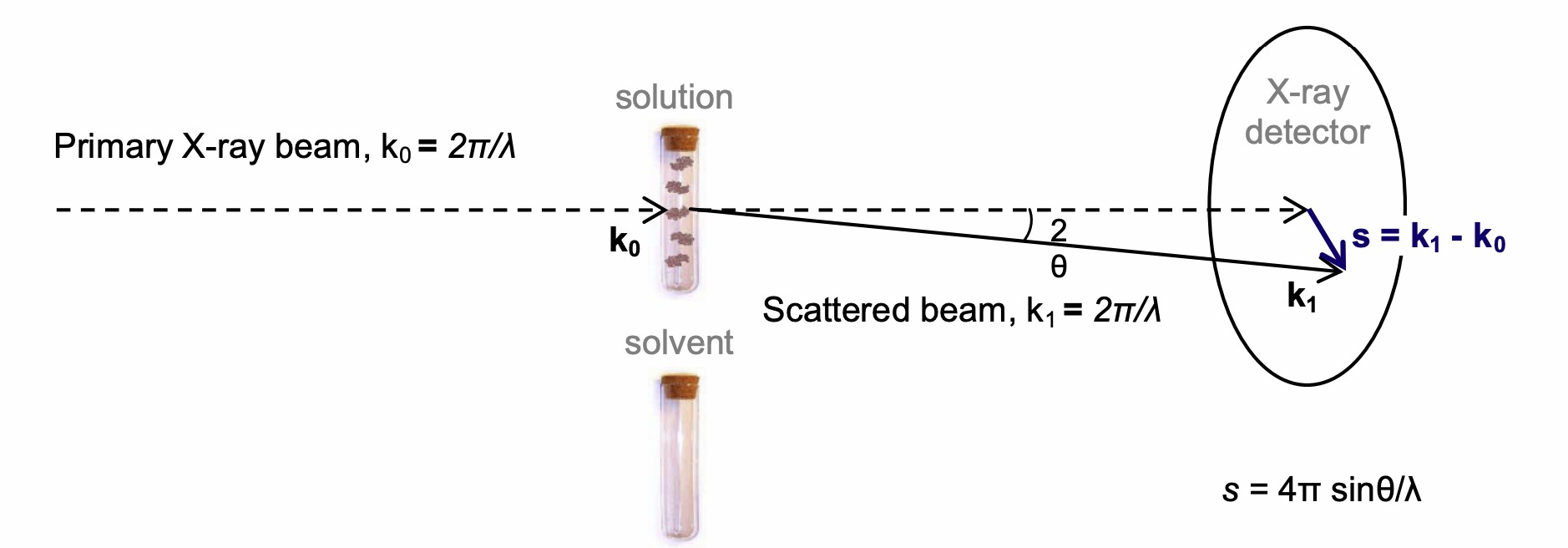 Schematic representation of a SAXS experiment. (Kikhney & Svergun, 2015)