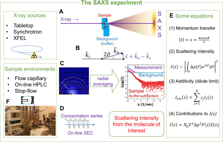 Fig.1 The principle of biological SAXS experiment. (OA Literature)