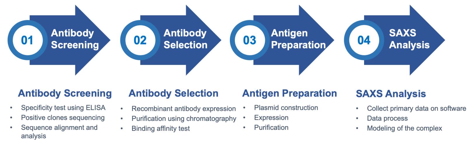 Core steps of the small-angle scattering assay process. (Creative Biolabs Original)