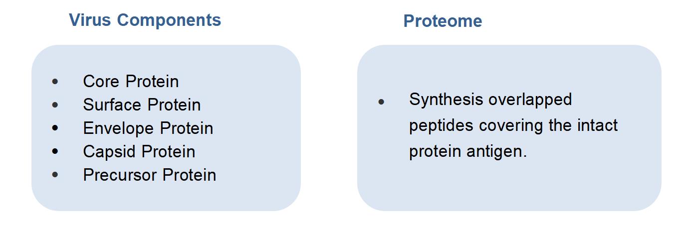 Protein Antigen and Epitope Peptide Preparation