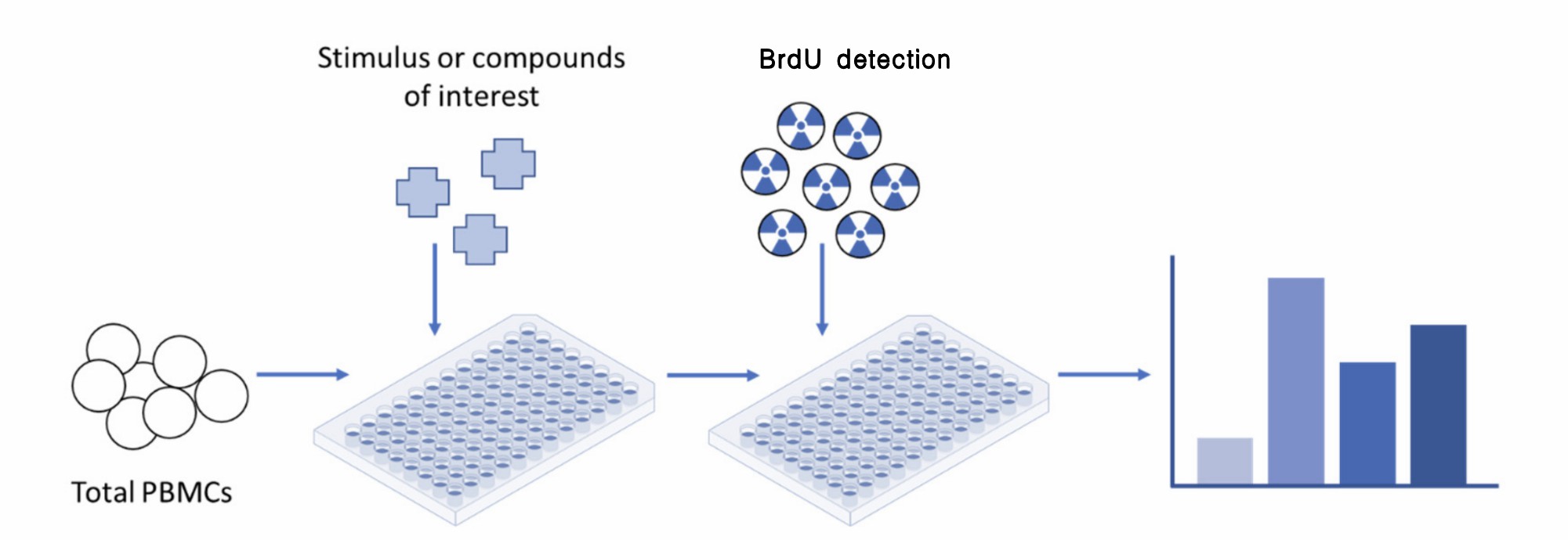 Main Steps of the BrdU assay for cancer epitope analysis. (Ganesan, et al., 2023)