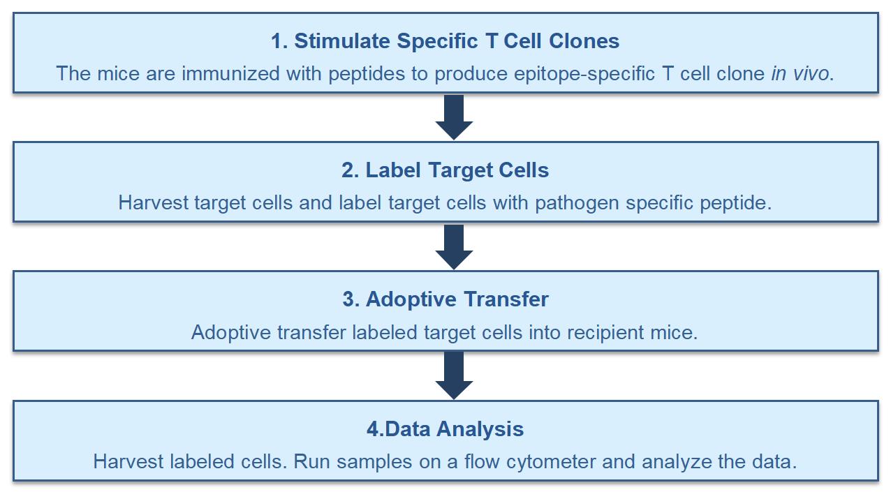 The CSFE-based assay service at Creative Biolabs. (Creative Biolabs original)