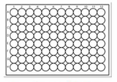 Fig.2 96-well ELISA plate. (Howes, et al., 2014)