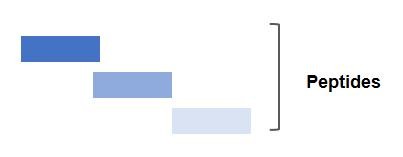 Epitope mapping. (Creative Biolabs original)