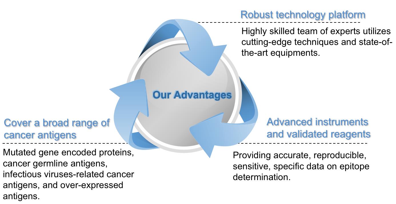 Our strengths in cancer epitope analysis. (Creative Biolabs Original)