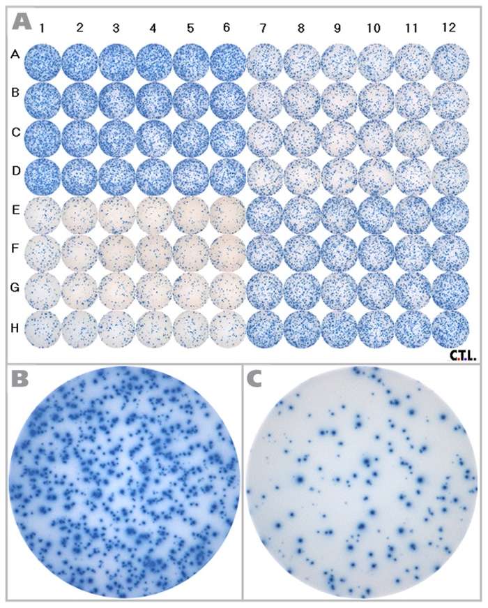Fig.1 Standardization of cellular assay using a multi-density reference plate layout. (OA Literature)