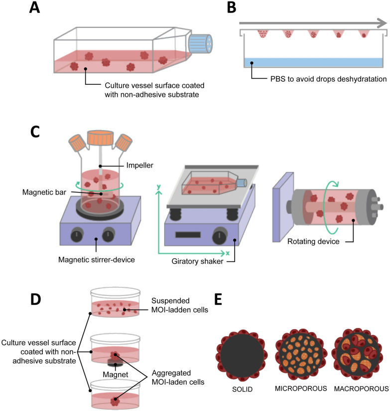 Fig.1 Types of liquid-based 3D cultures. (OA Literature)