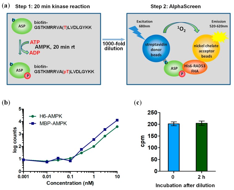 Fig.1 Two-step AlphaScreen kinase assay. (OA Literature)