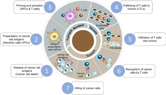 Fig.1 The immuno-oncology cycle. (OA Literature)