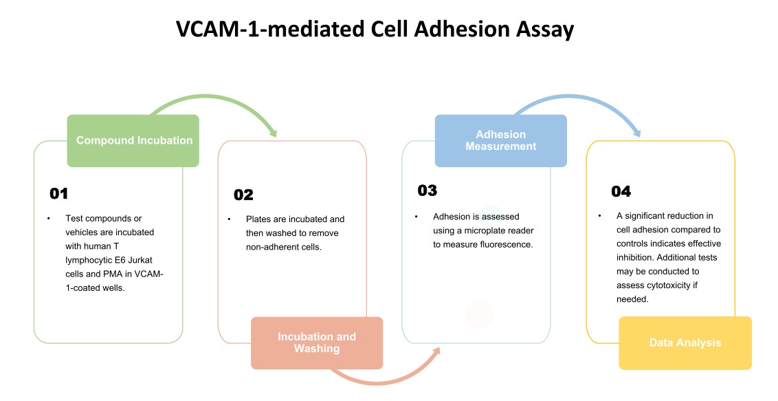 An assay for assessing cellular adhesion mediated by VCAM-1. (Creative Biolabs Original)