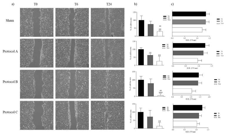 Fig.1 Wound repair assay.