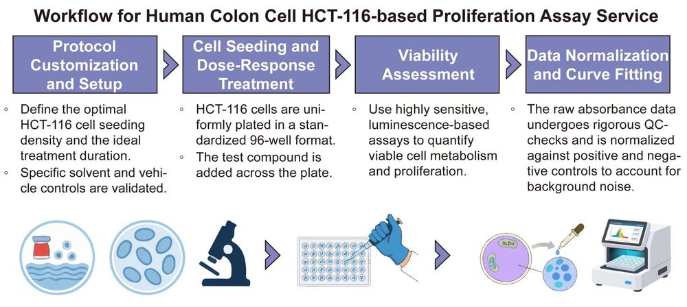 A simple procedure for human colon cell HCT-116 based proliferation assay service. (Creative Biolabs Original)