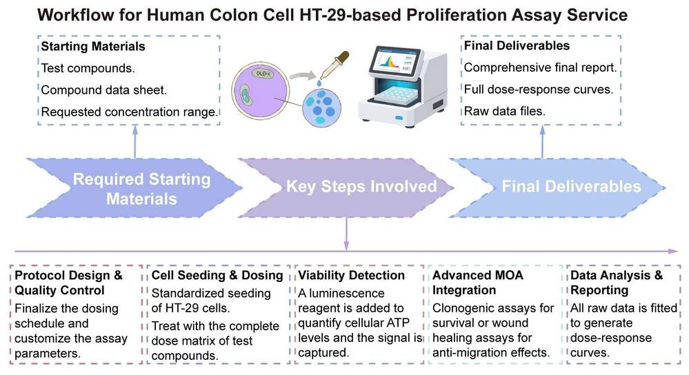 A simple procedure for human colon cell HT-29 based proliferation assay service. (Creative Biolabs Original)