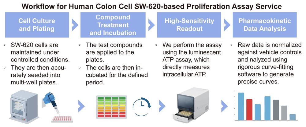 A simple procedure for human colon cell SW-620 based proliferation assay service. (Creative Biolabs Original)