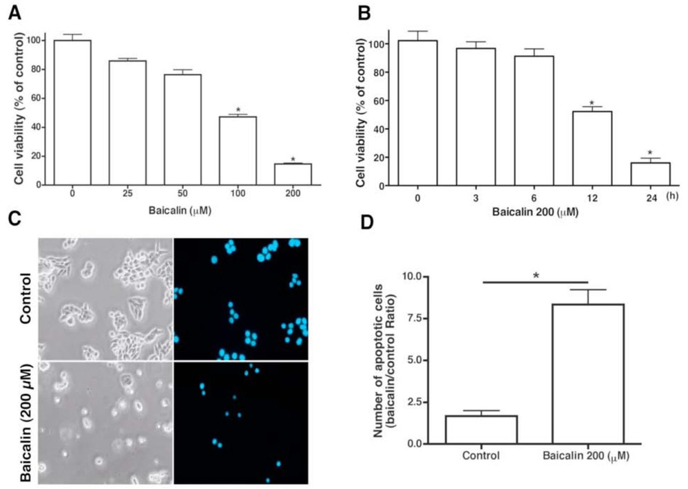 Fig.1 Baicalin induces apoptosis in human SW620 colorectal cancer cells. (OA Literature)