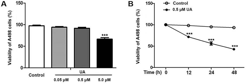 Fig.1 Proliferation inhibitory effect of Ursolic Acid in A498 cells. 