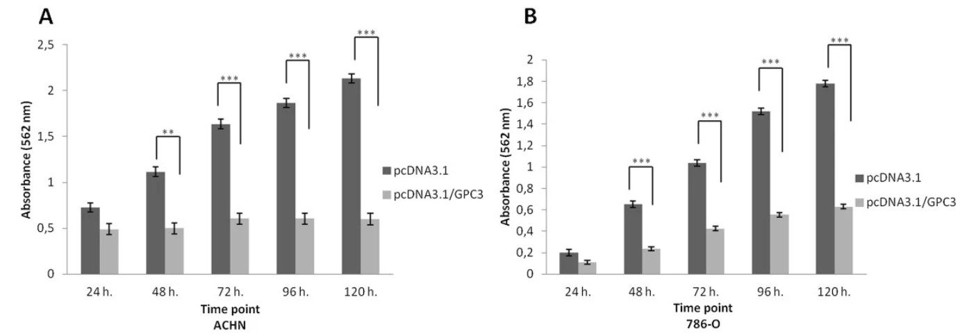 Fig.1 Effect of GPC3 overexpression on cell proliferation. 