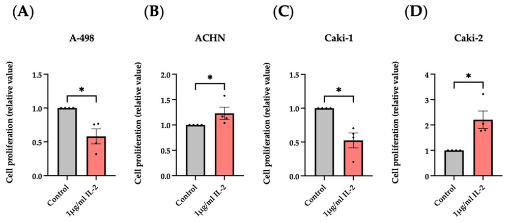 Fig.1 Effect of rhIL-2 on the proliferation of RCC cell lines as assessed by BrdU incorporation. (OA Literature)