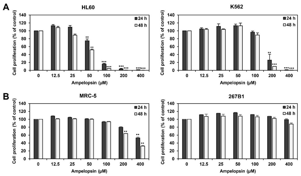 Fig.1 The inhibitory effect of ampelopsin on leukemia cell proliferation. (OA Literature)