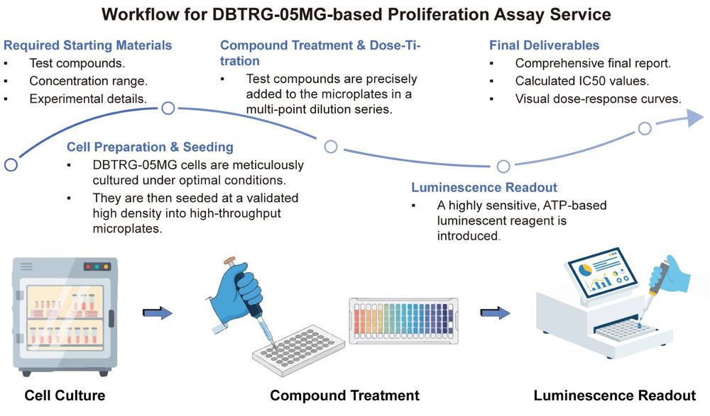 A simple procedure for human brain cell DBTRG-05MG based proliferation assay service. (Creative Biolabs Original)