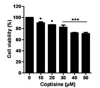Fig.1 Hep3B cell proliferation testing.