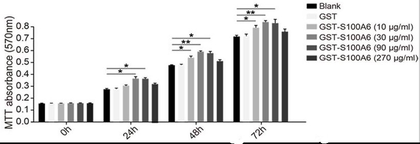 Fig.1 Detection of the proliferation of HepG2 cells.