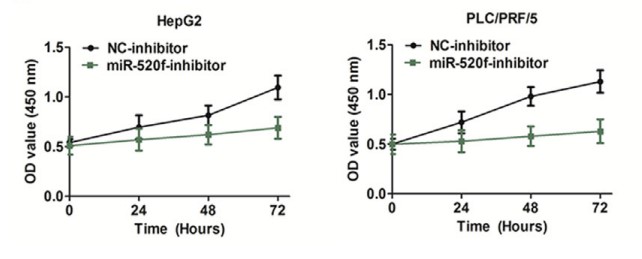 Fig.1 Proliferation detection of miR-26 in PLC/PRF/5 cells. 