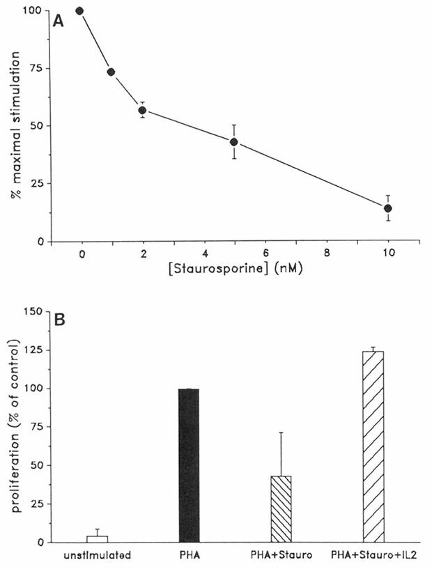 Fig. 1 Staurosporine inhibits the proliferation of PHA-stimulated cells.