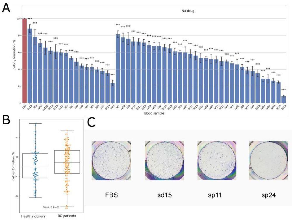 Fig.1 Effect of human sera on BT474 breast cancer cell colony formation. (OA Literature)