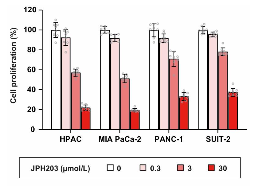Fig. 1 The pancreatic cell proliferation was inhibited by JPH203. 