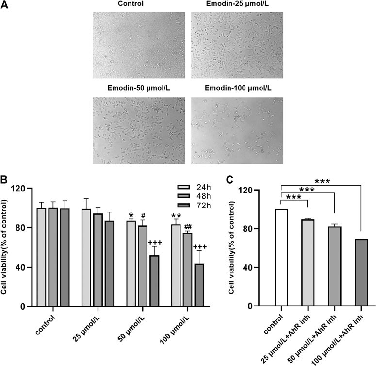Fig.1 The antiproliferative effects of emodin on MCF-7 breast cancer cells. (OA Literature)