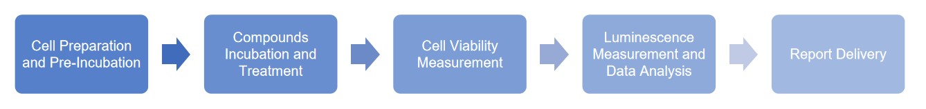 Fig.1 Workflow of the CT26.WT proliferation assay. (Creative Biolabs Original)