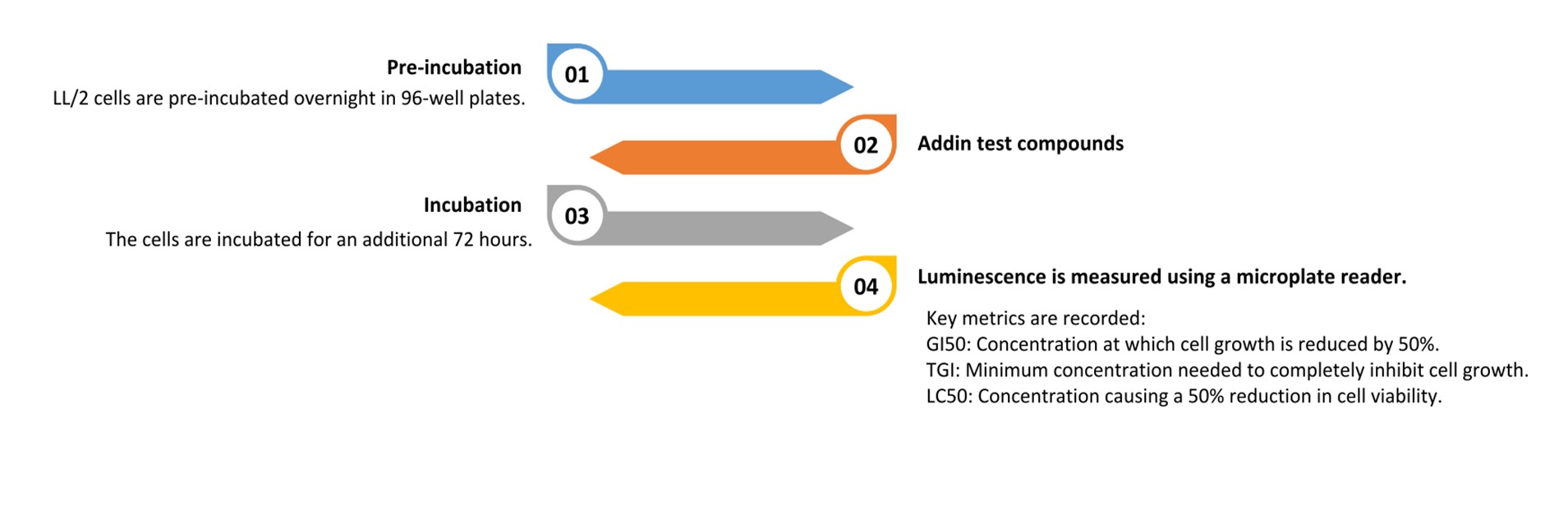 Procedure of our mouse lung cell LL/2-based proliferation assay. (Creative Biolabs Original)