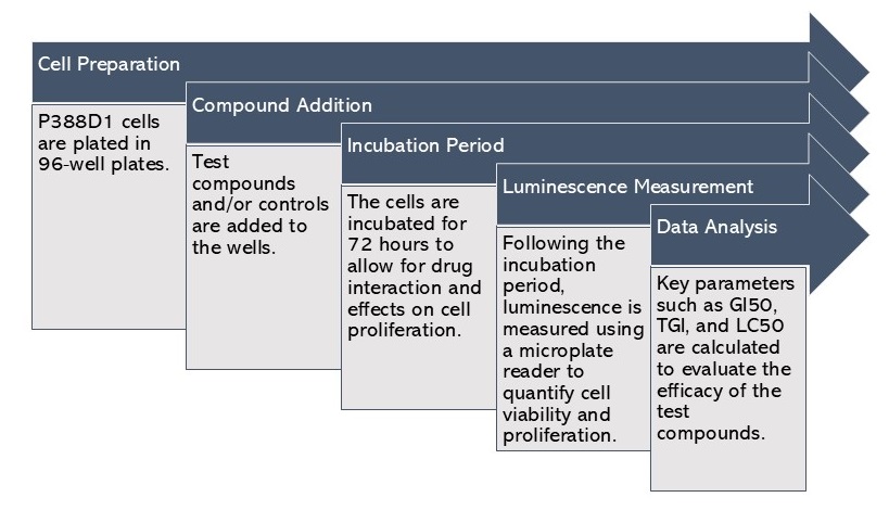 Procedure of P388D1-based proliferation assay. (Creative Biolabs Original)
