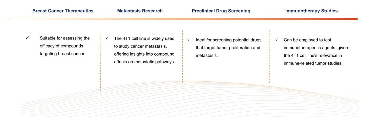 Applications of 4T1-based proliferation assay. (Creative Biolabs Original)