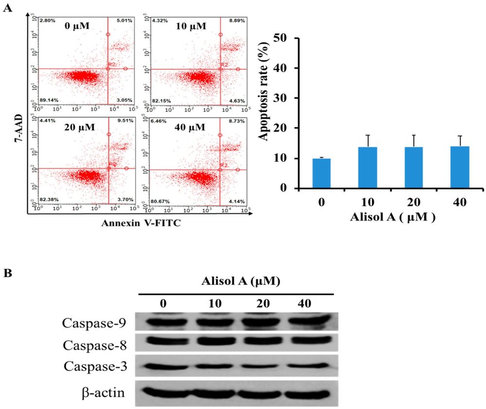 Fig.1 Effects of alisol A on the induction of MDA-MB-231 cells. (OA Literature)