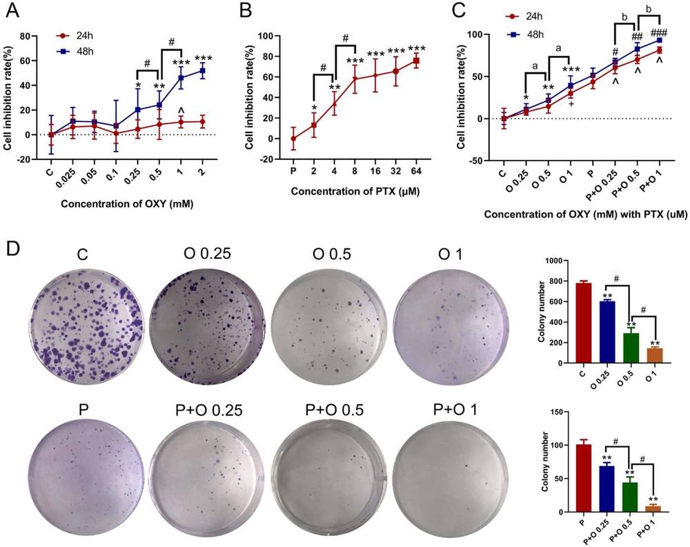 Fig.1 OXY and PTX synergistically inhibit the proliferation of SKBR3 cells. (OA Literature)