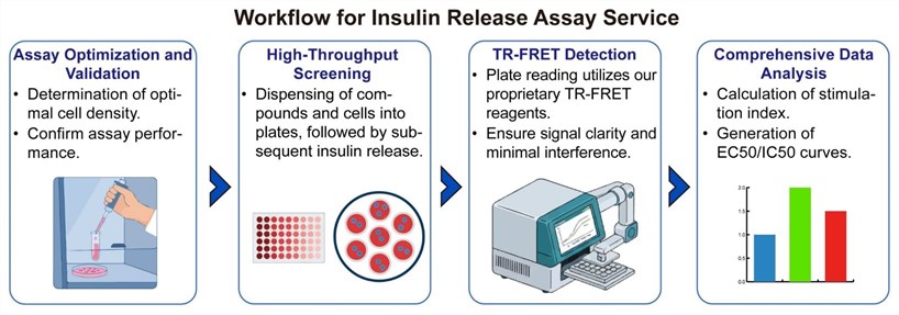 A simple procedure for insulin release assay service. (Creative Biolabs Original)