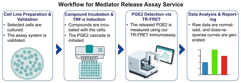 A simple procedure for mediator release assay service. (Creative Biolabs Original)