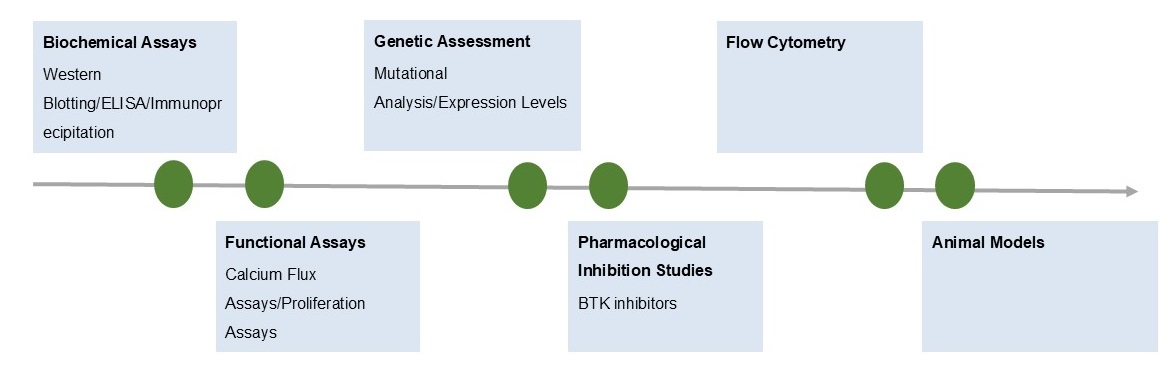 Fig.2 Services. (Creative Biolabs Original)