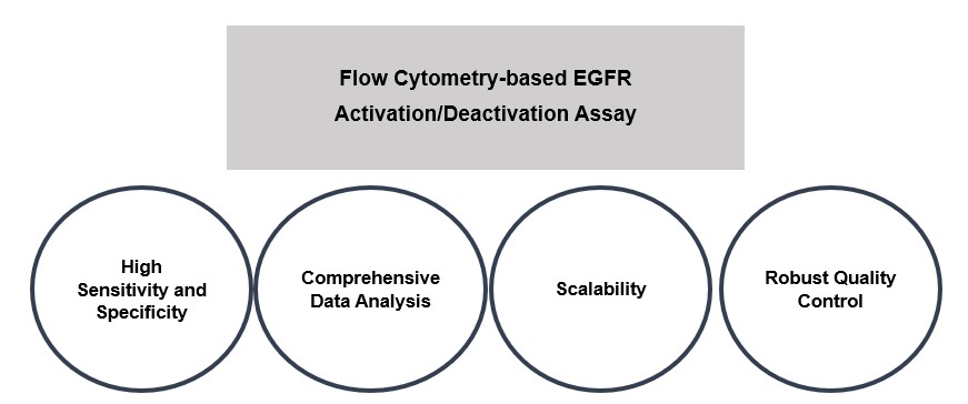 Fig.2 Our service features. (Creative Biolabs Original)