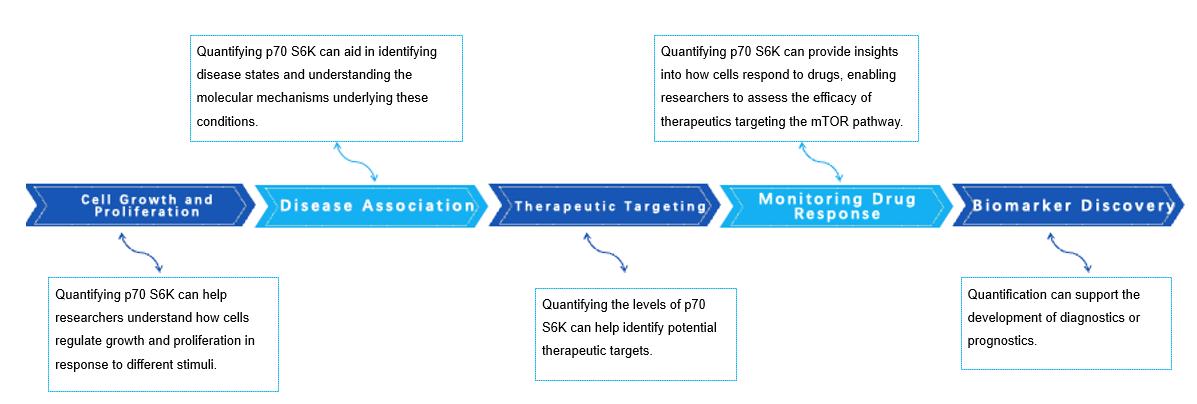 Fig.2 Advantages. (Creative Biolabs Original)