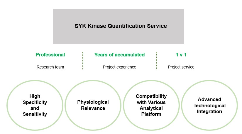 Fig.1 Benefits of our services. (Creative Biolabs Original)