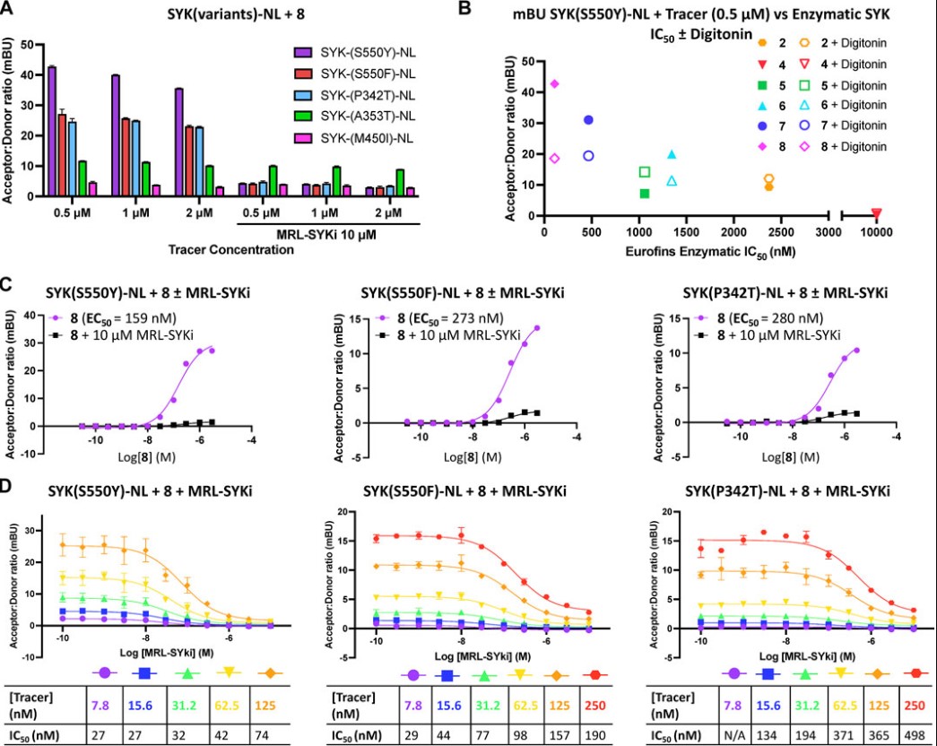Fig.1 Cellular effects mediated by protein kinases. (OA Literature)