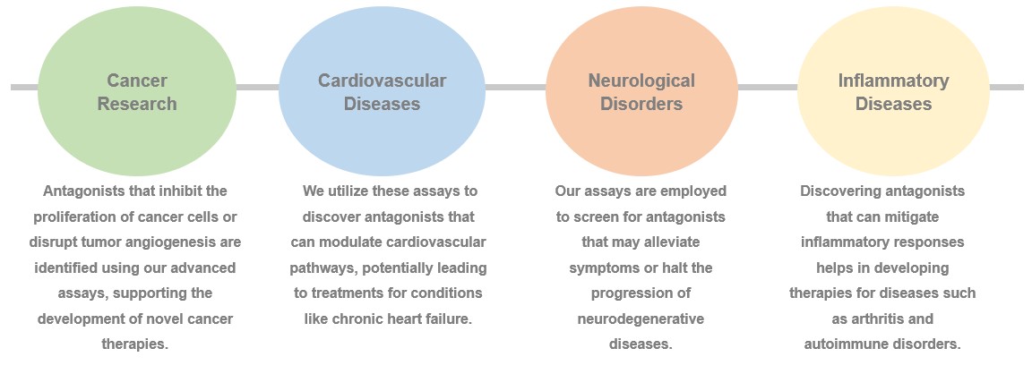 Fig.2 Application of Cell-based Antagonist Assays. (Creative Biolabs Original)