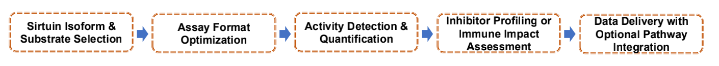 Fig.1 Service Workflow. (Creative Biolabs Original)